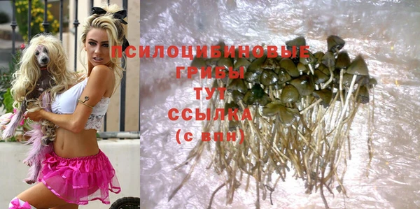 не бодяженный Аркадак