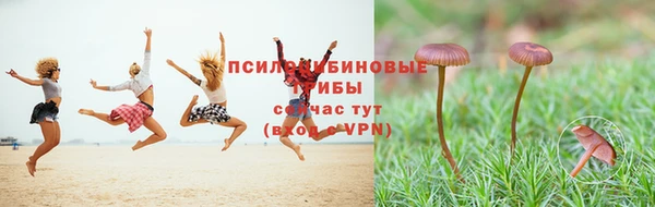 дмт Армянск
