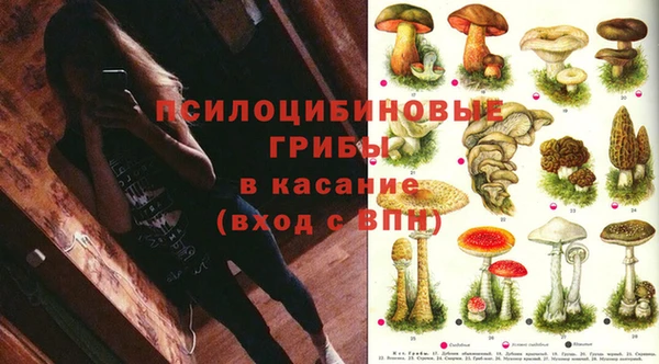 дмт Армянск