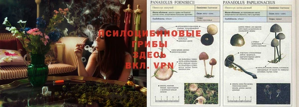 прущая мука Арсеньев