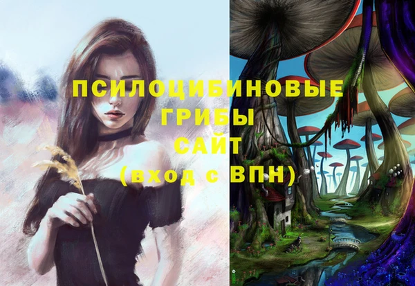 прущая мука Арсеньев