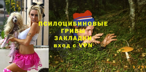 прущая мука Арсеньев