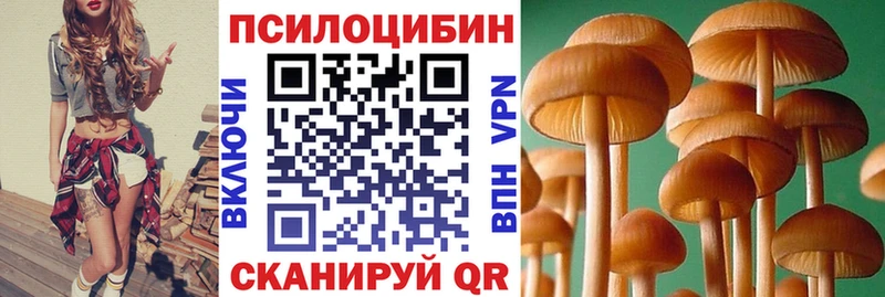 дарнет шоп  Куса  Галлюциногенные грибы ЛСД 